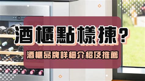 酒櫃|酒櫃推介、酒櫃比較、酒櫃牌子及選購攻略 2024